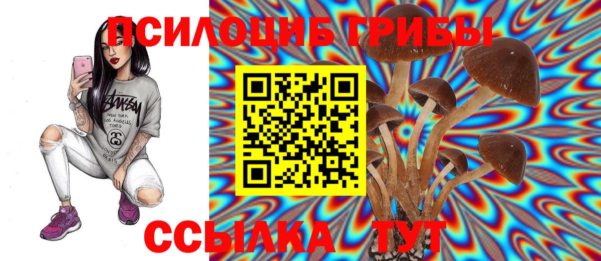 Галлюциногенные грибы прущие грибы  Вход с VPN  Кашира  Псилоцибиновые грибы GOLDEN TEACHER 