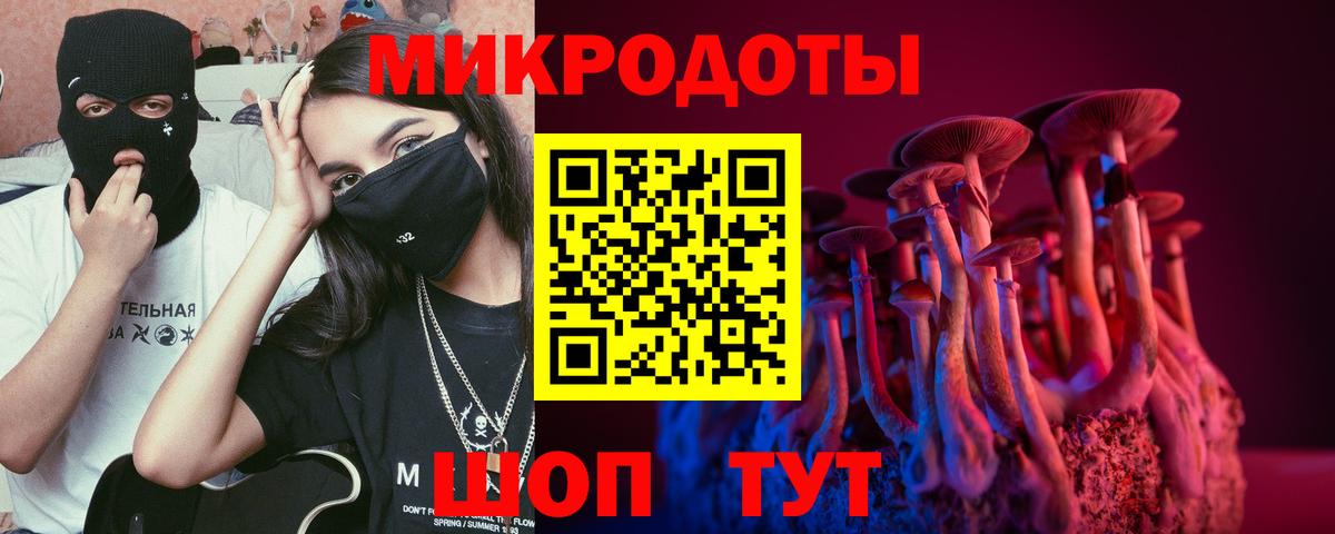 Галлюциногенные грибы мухоморы Кашира